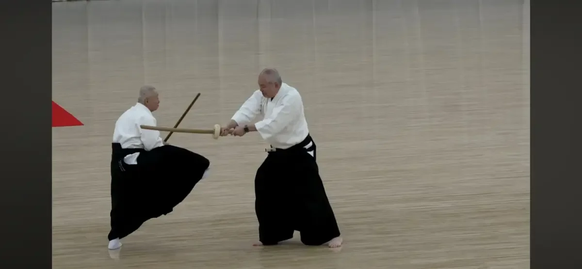 Hontai Yoshin Ryu